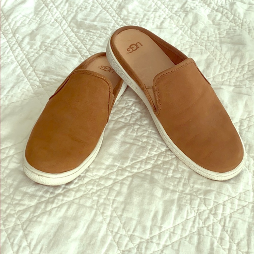 Ugg Gene Mule